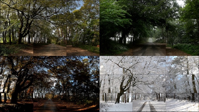 The four seasons, Woldgate Woods